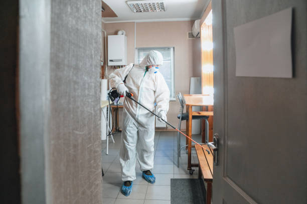 Best Industrial Mold Remediation  in Torrington, CT