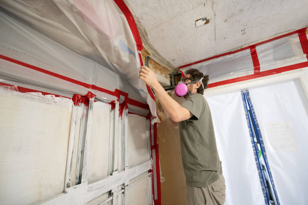 Best Comprehensive Air Testing for Mold Contaminants  in Torrington, CT