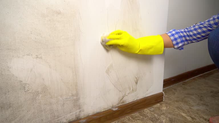 Best Residential Mold Inspection & Testing  in Torrington, CT