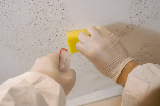 Best Indoor Air Quality Assessment  in Torrington, CT