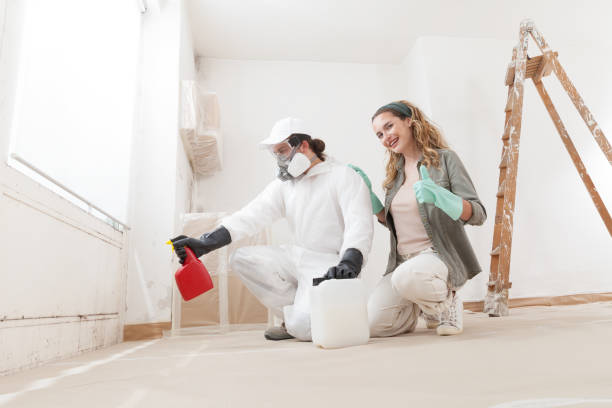 Torrington, CT Mold Removal Company
